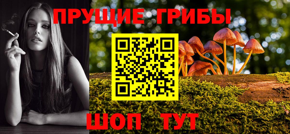 Галлюциногенные грибы мухоморы Ржев
