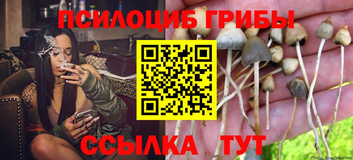 Галлюциногенные грибы MAGIC MUSHROOMS  Вход с VPN  Ржев  Галлюциногенные грибы Magic Shrooms 